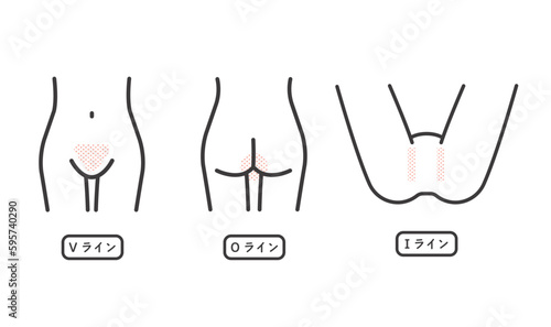 女性の脱毛パーツの説明に関するベクターイラスト素材／VIO