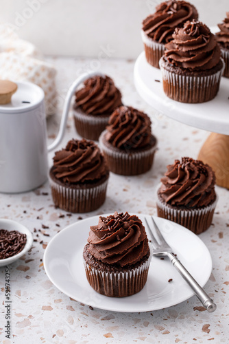 Chocolate cupcakes with dark chocolate frosting and sprinkles