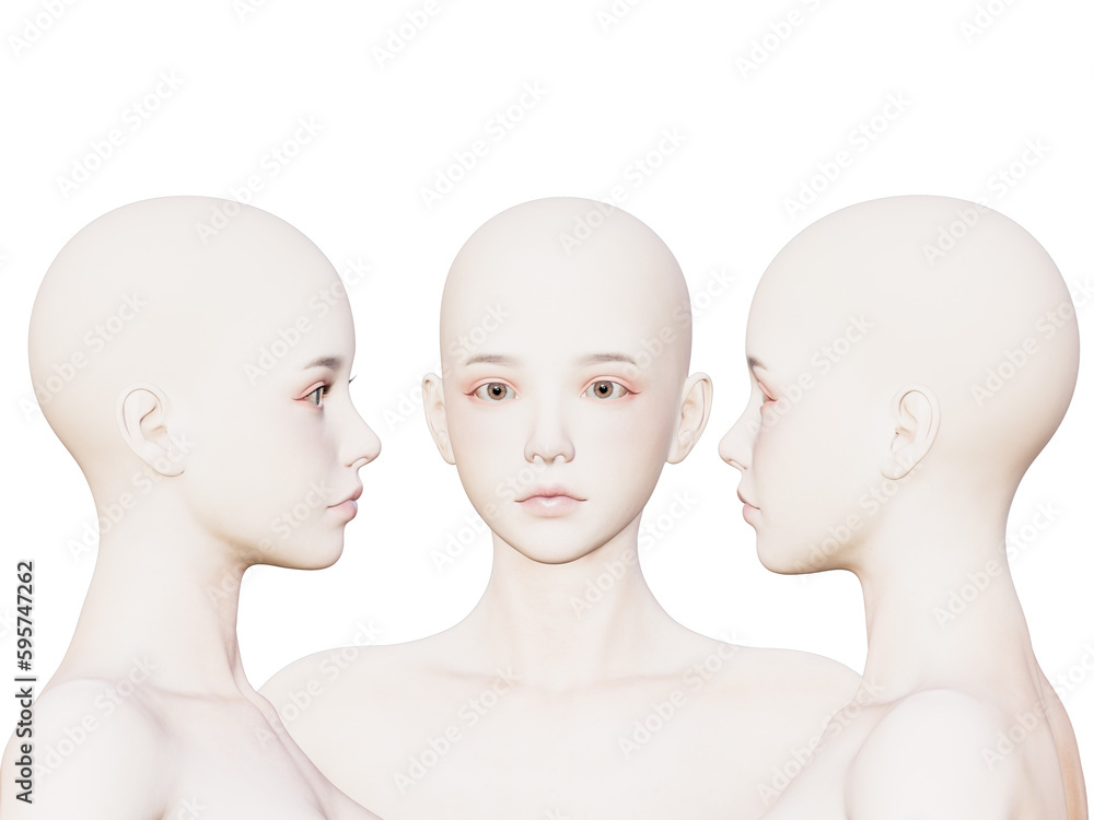 3d render. And the angle of a female bald head on a white background. 3d render. And the angle of a female bald head on a white background.