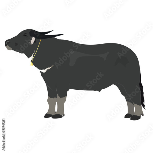 buffalo vector animal asia black and white
