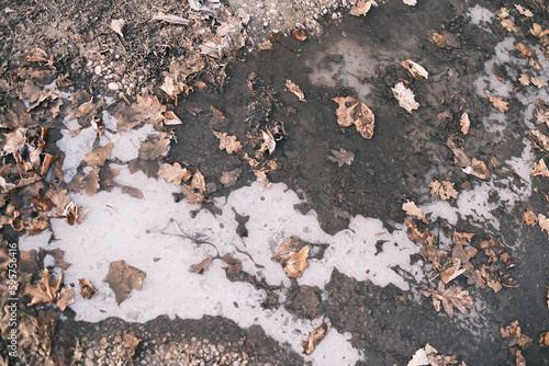 Fallen leaves on the ground in the city park in winter.