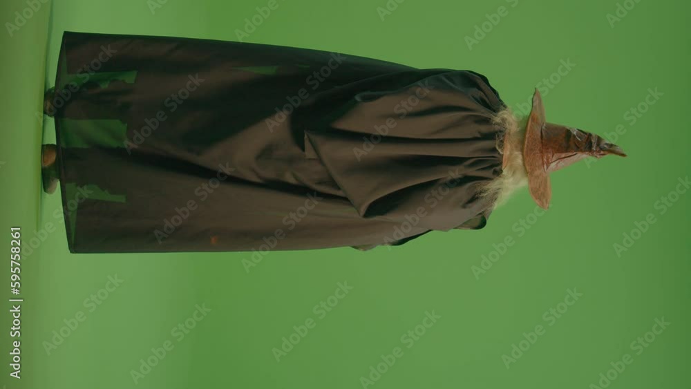 Vertical View. Green Screen. Back View of a Wizard in a Magic Hat and ...
