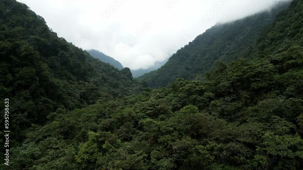 Drone flight over river in Colombian jungle Drone flight over river in Colombian jungle