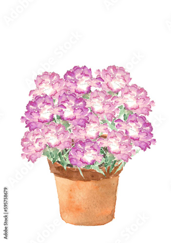 水彩で描いた鉢に飾ったピンクのカーネーションのイラスト