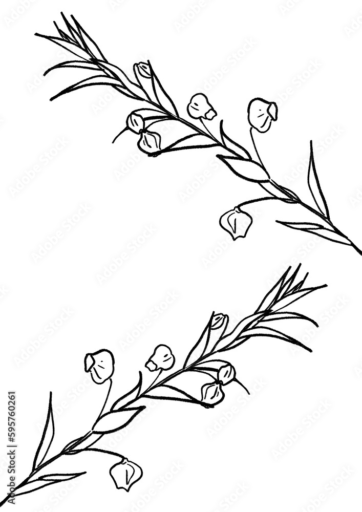 花 花