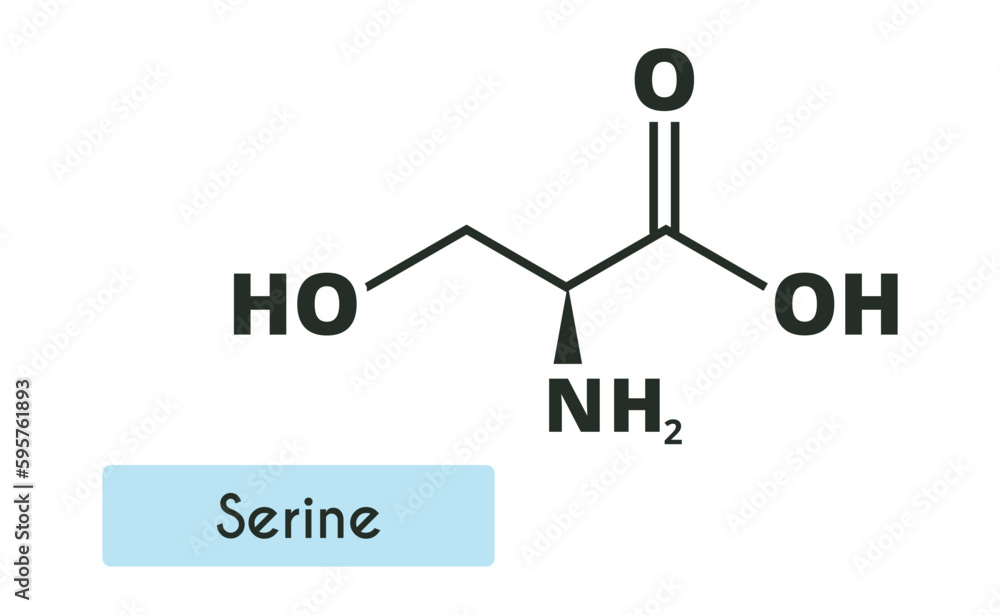 Serine Molecule Structure. (l-serine, Ser, S). Skeletal formula. Amino acid. Serine Molecule Structure. (l-serine, Ser, S). Skeletal formula. Amino acid.
