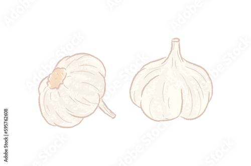 Different angles of whole raw garlics 