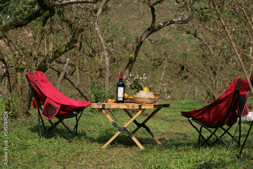 Outdoor dining, picnic, Travel, Tour