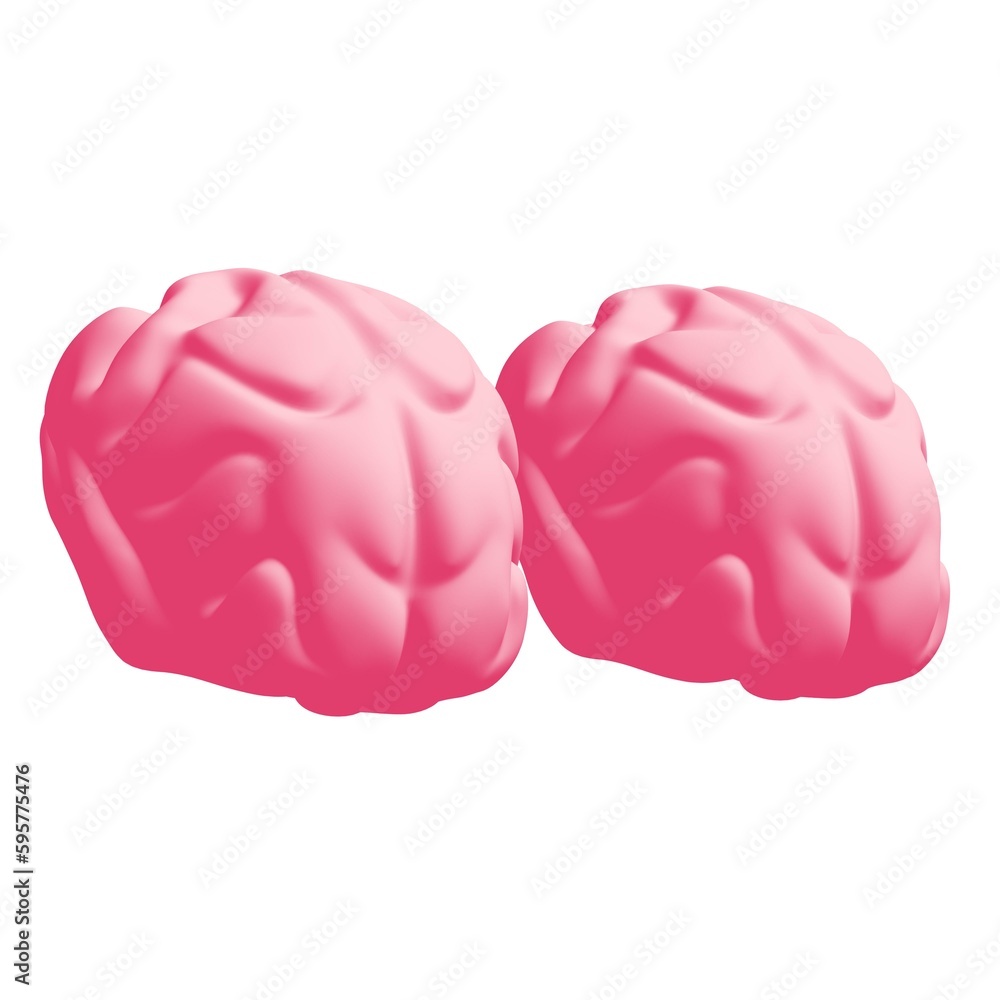 Human brain Anatomical Model. Human brain Anatomical Model.