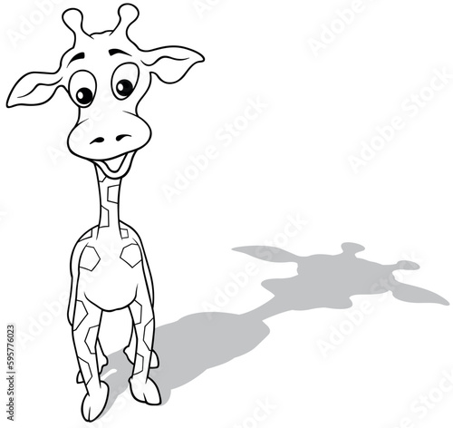 Drawing of a Funny Standing Giraffe from Front View
