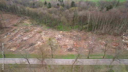 Aerial overview showing empty road beside cleared woodland forest