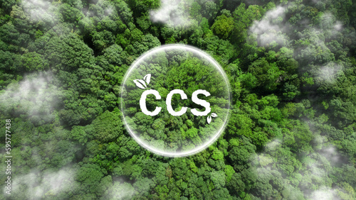 Принти на полотні CCS acronym for Carbon Capture Storage words CCS in bubbles with a forest background