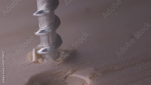 Screwdriver screw in a wood oaks plank. Self-tapping screw for PZ3 bit. Screws macro photo. Construction abstraction photo