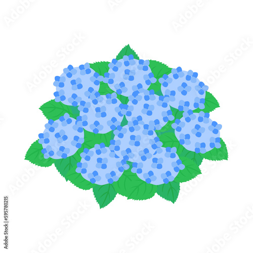 青色のアジサイ。フラットなベクターイラスト。
Blue hydrangea. Flat designed vector illustration.