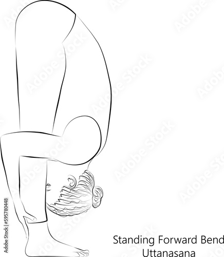 Sketch of young woman practicing yoga, doing Standing Forward Bend pose or Uttanasana. Standing and Forward Bend. Beginner. Vector illustration isolated on transparent background.