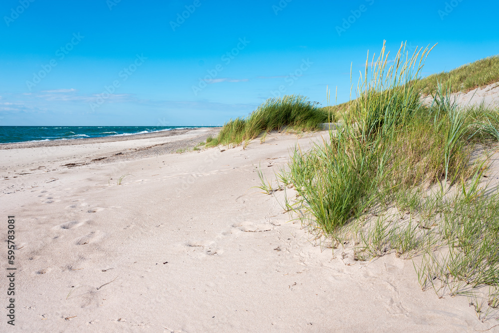Dünen mit Strandgras am unberührten Strand der Ostsee, Halbinsel Darß, Nationalpark Vorpommersche Boddenlandschaft