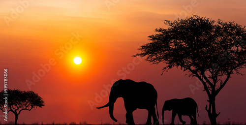Silhouettes of african wild animals at sunset. Evening in African savanna. © Sergey Fedoskin