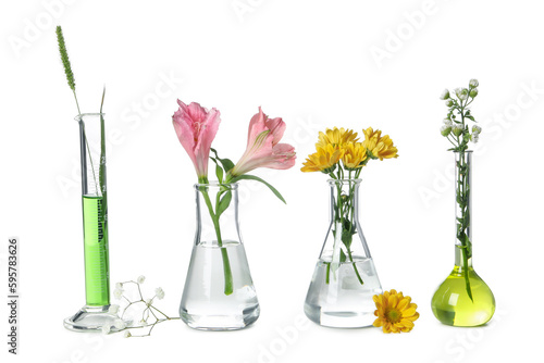 Concept of biology research, test tubes and flowers isolated on white background