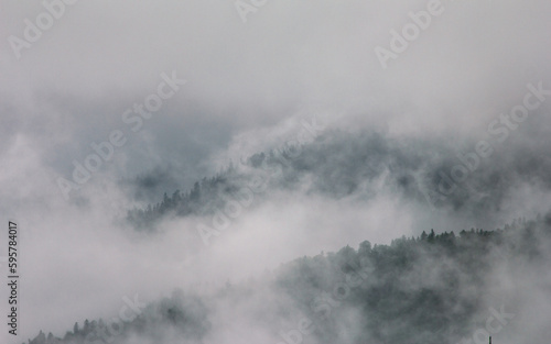 Amazing panoramic landscape mountain forests covering with a lot of fog after rain. © vovik_mar