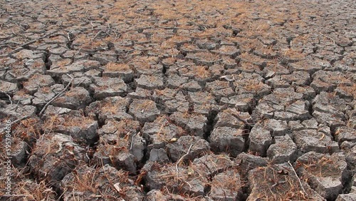 Cracked soil texture with dry rice field drought seanson brown,background photo