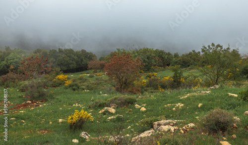 Fototapeta Naklejka Na Ścianę i Meble -  Beautiful landscape with fog on the top of Mount Meron