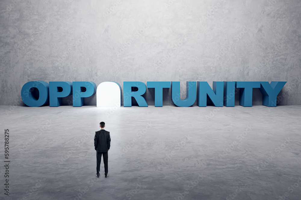 Obraz premium Back view of young businessman looking at opportunity door on concrete background. Success, future and abstraction concept.