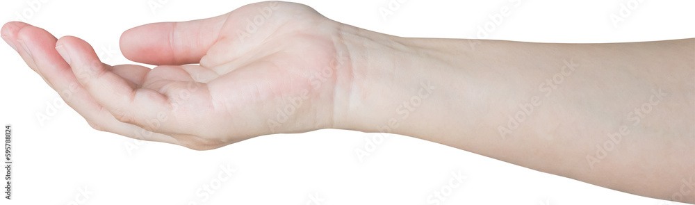 Woman hand gesture holding something isolated on white background Woman hand gesture holding something isolated on white background