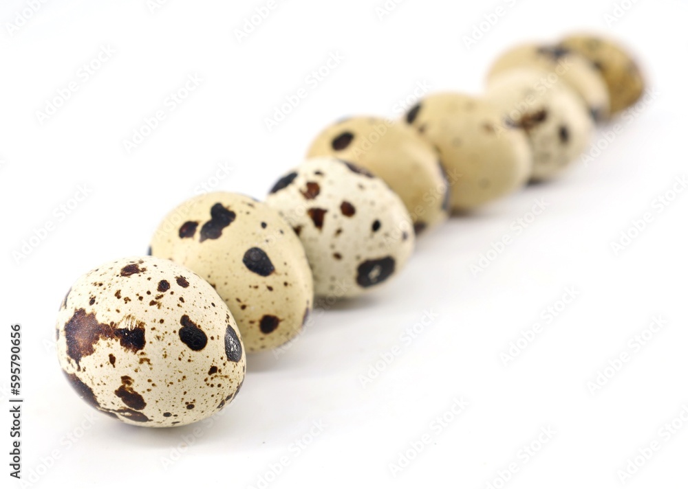 Raw quail eggs in a row on white background.