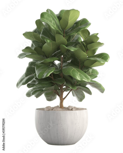 Plant in a pot, houseplant, decorative, generative ai