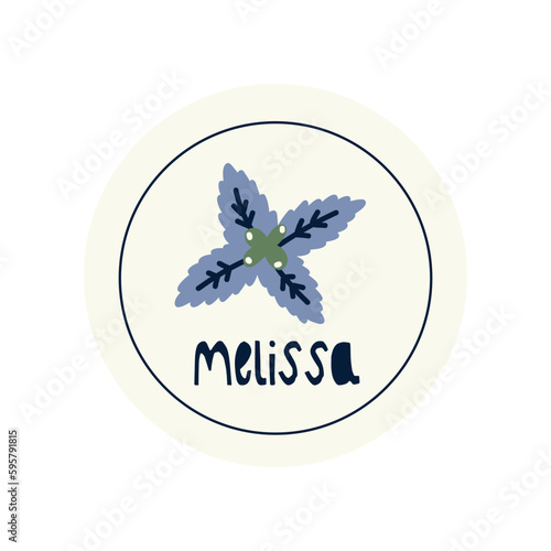 Hand Drawn circle illustrated label spice herb melissa. Flat vector nature botanical graphic design packaging sticker