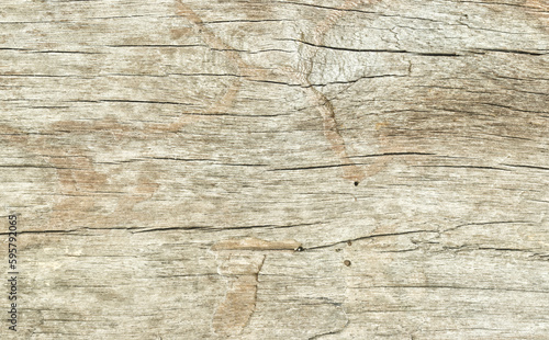 grey wood texture background surface with old natural pattern