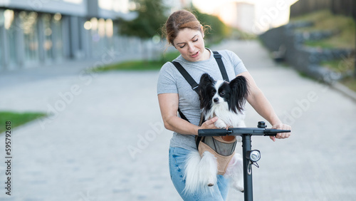 A woman rides an electric scooter with a dog in a backpack. Pappilion Spaniel Continental in a sling. photo