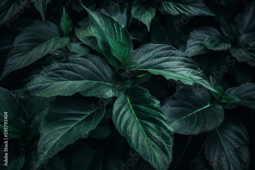 background of plant leaves. AI Generated