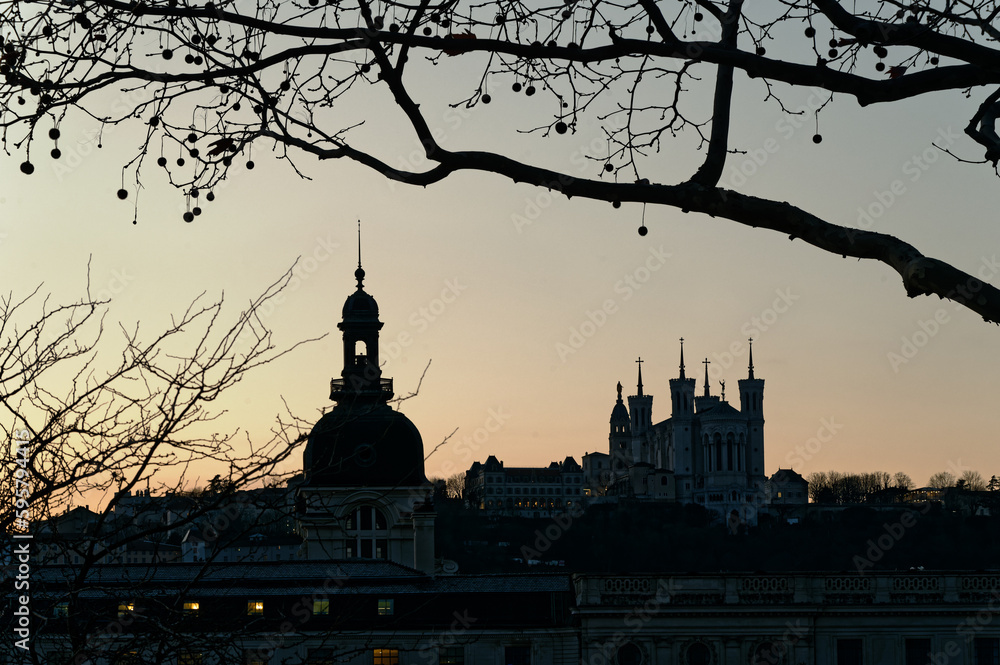 Eponymous view of Lyon (France)