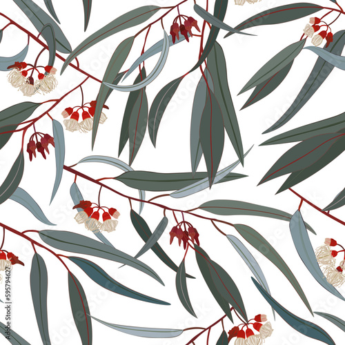 Eucalyptus branches in bloom, white background. Seamless floral pattern-244.