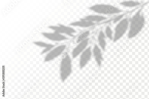 Realistic shadow tropical leaves and branches on transparent checkered background. The effect of overlaying shadows. Natural light layout.