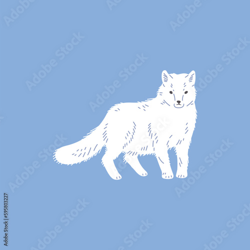 Arctic or polar white fox flat vector illustration isolated on blue background.