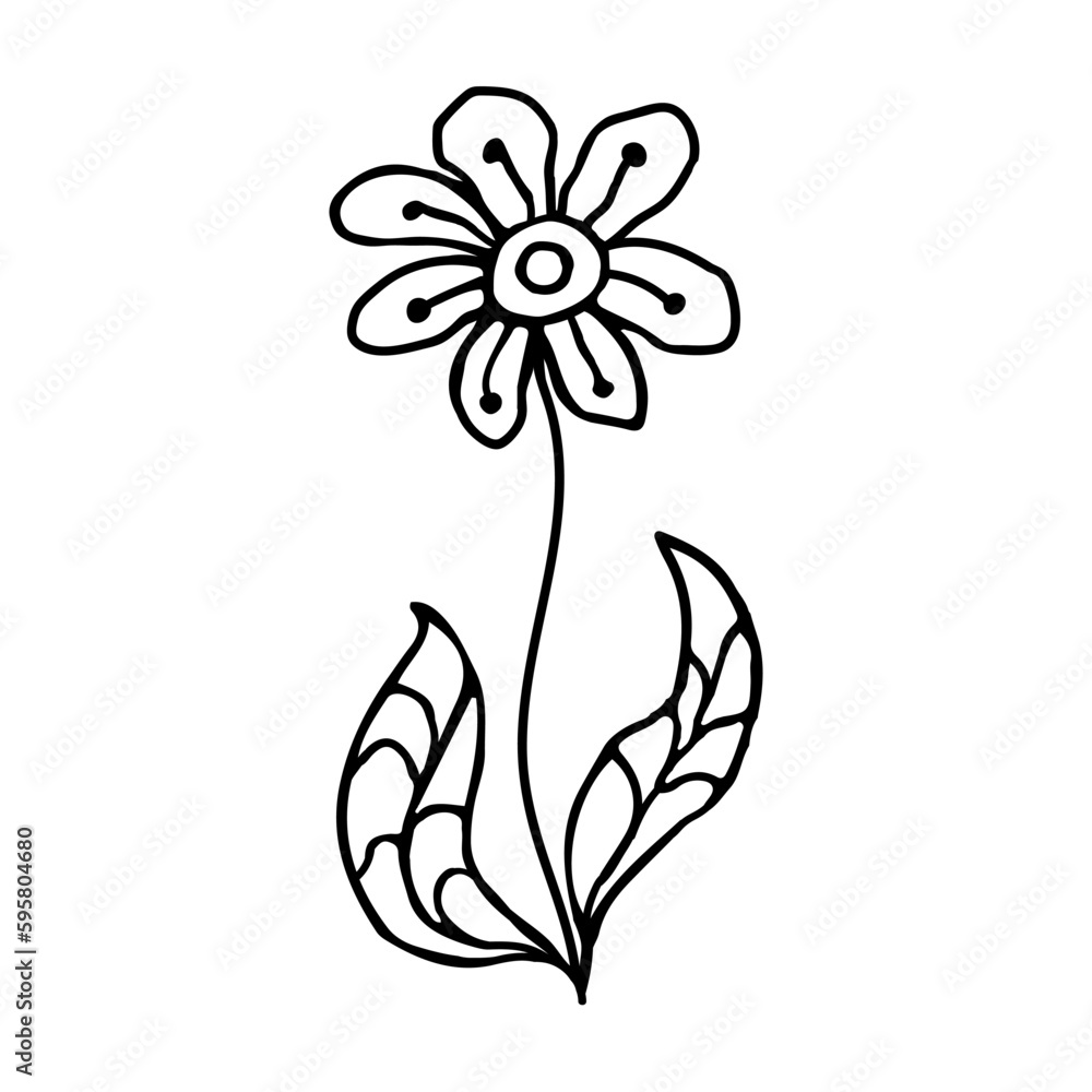 Hand drawn flower and branches doodle. Vector illustration Hand drawn flower and branches doodle. Vector illustration