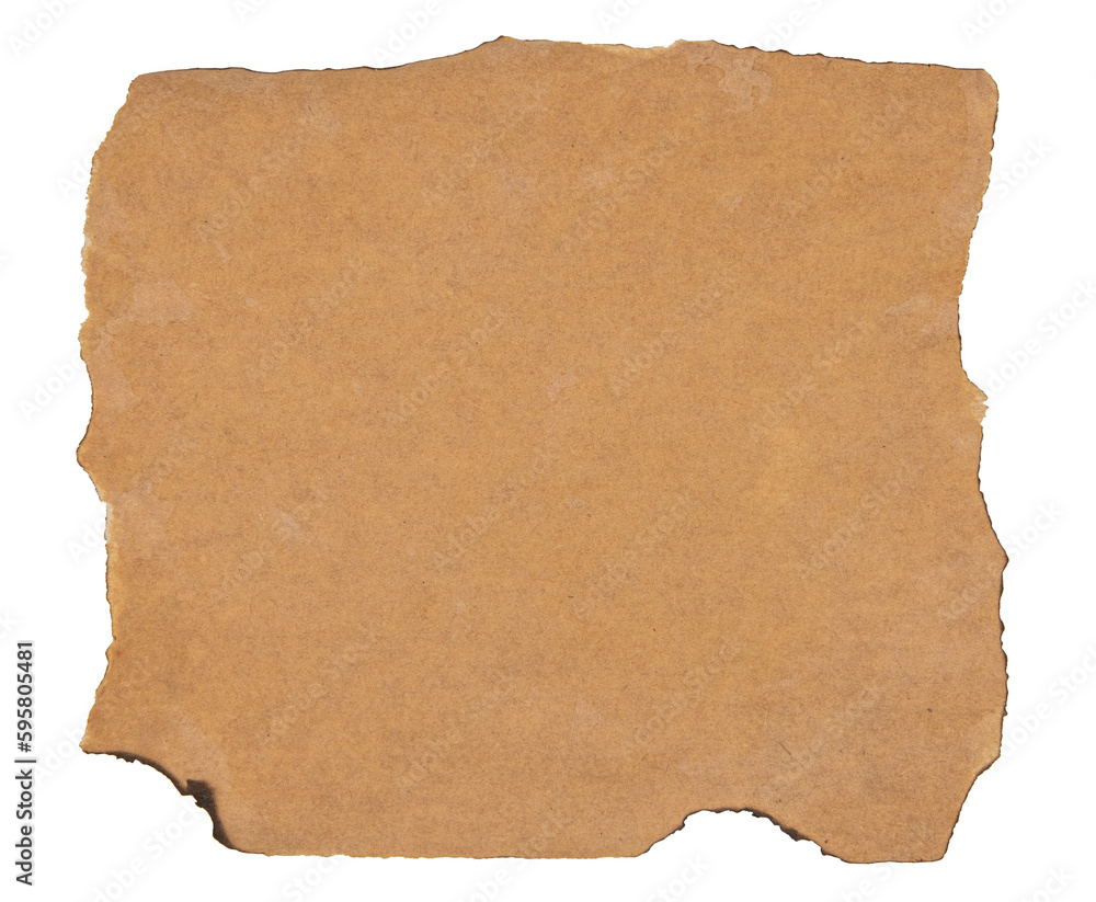 isolated photo of old blank brown grunge paper