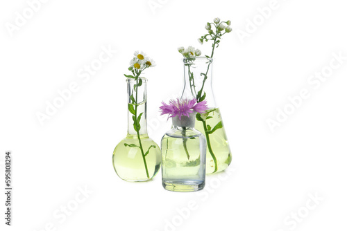 Concept of biology research  test tubes and flowers isolated on white background