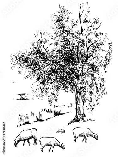 Rural landscape, tree and farm. Vector hand drawn vintage engraved sketch.
