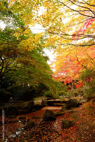 日本庭園の紅葉