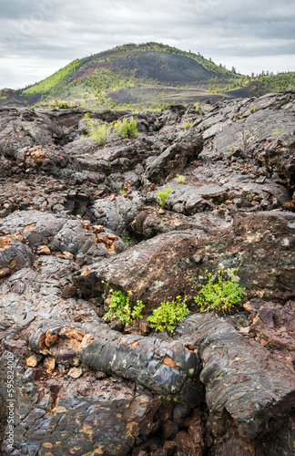 Sparse Landscape of Craters of the Moon National Monument and Preserve in Idaho