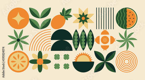 Geometric natural pattern. Abstract fruit plant leaf simple shape, minimal botanic eco agriculture concept. Vector banner