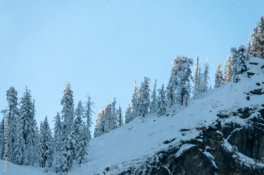 Obraz premium Telephoto shot of a group of trees catching the first sunlight of the new year in Yosemite national park, on an early morning winter afternoon.