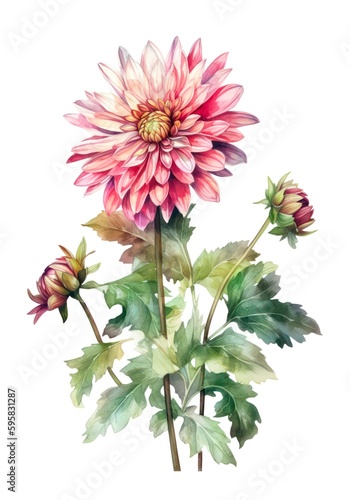 Watercolor illustration of a dahlia flower isolated on white background. Generative AI.