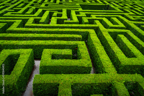 Принти на полотні green grass maze