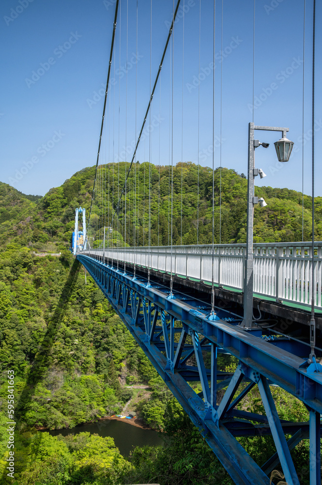 Obraz premium 茨城県常陸太田市 新緑の竜神大吊り橋