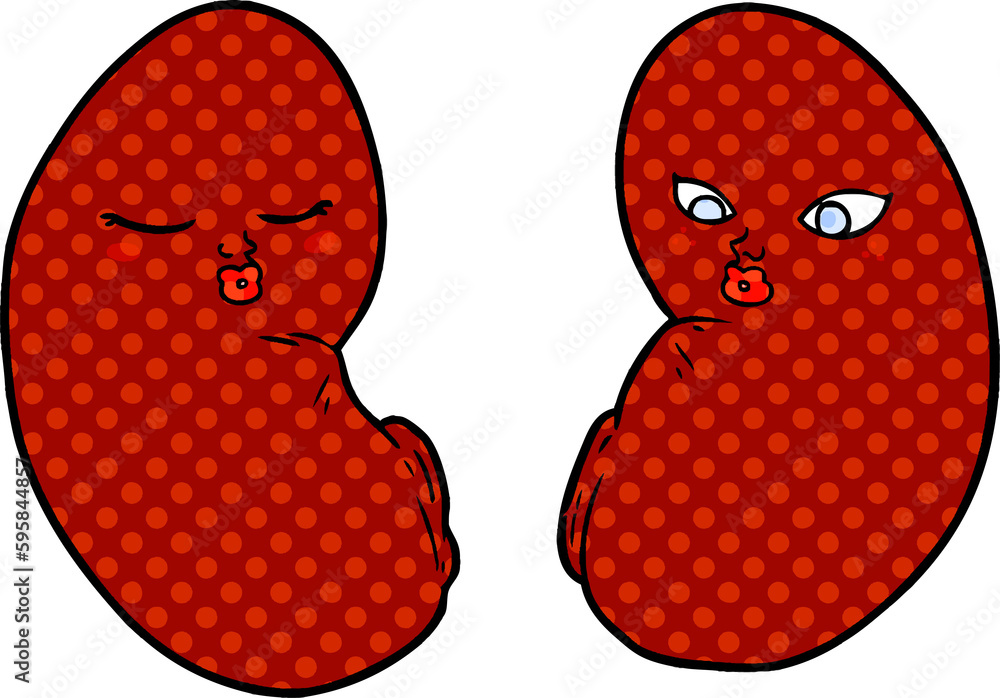 cartoon kidneys cartoon kidneys