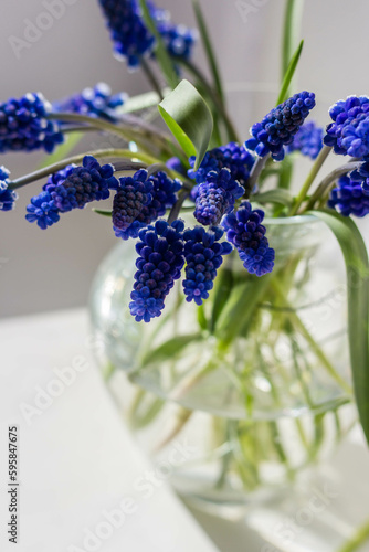 Blue Flowers under the Sun's Rays Spring Aesthetics. A bouquet of blue muscara flowers in a vase. photo